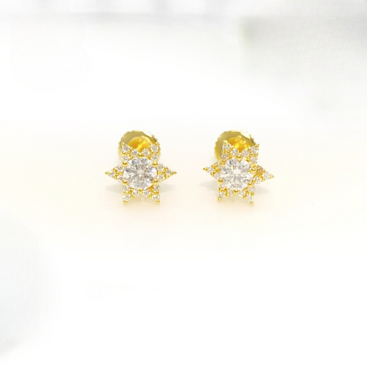 VVS Moissanite Star Cluster Halo Stud Earrings